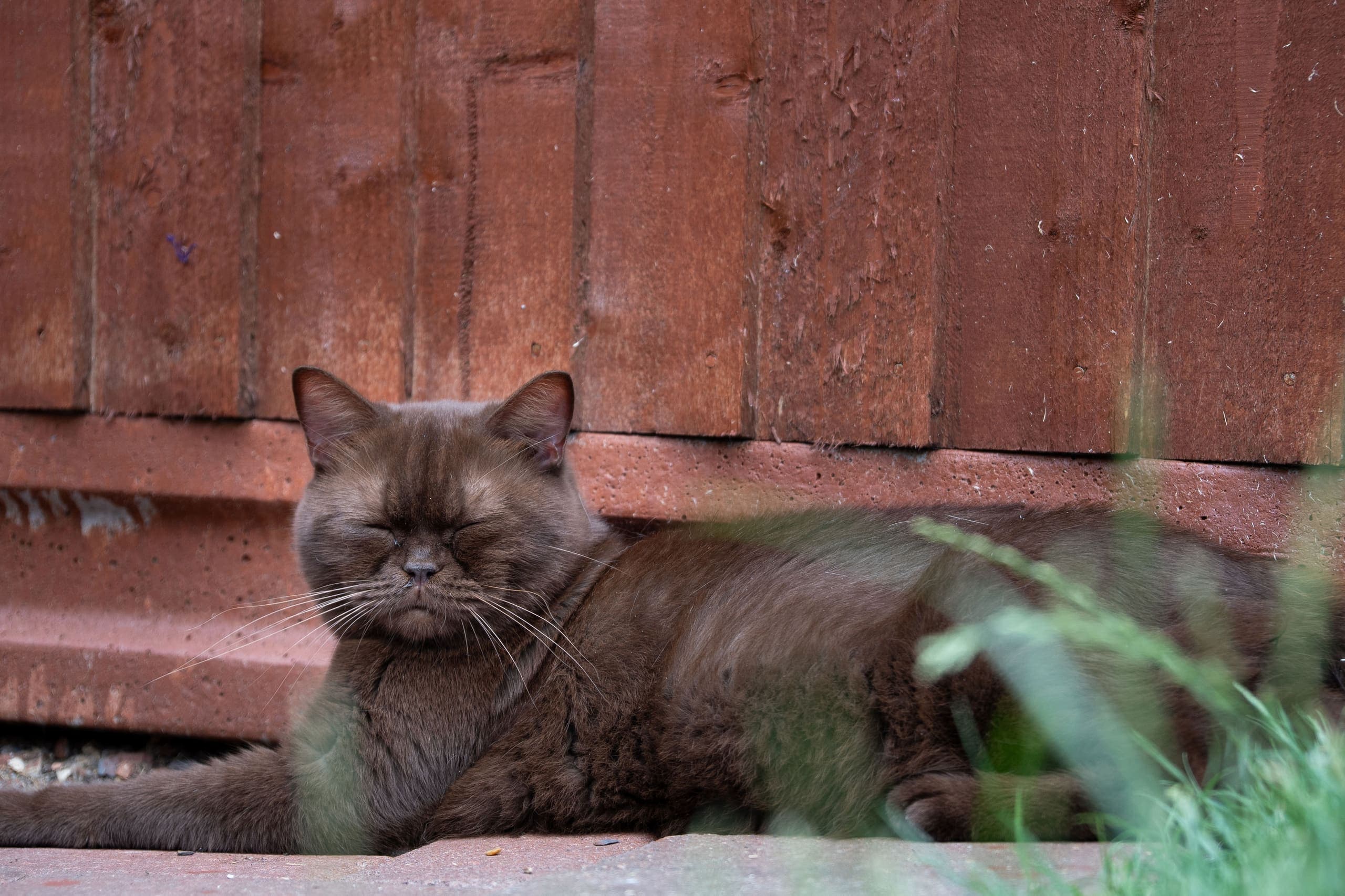 Life at Muggles Mittens — cinematic photograph 5