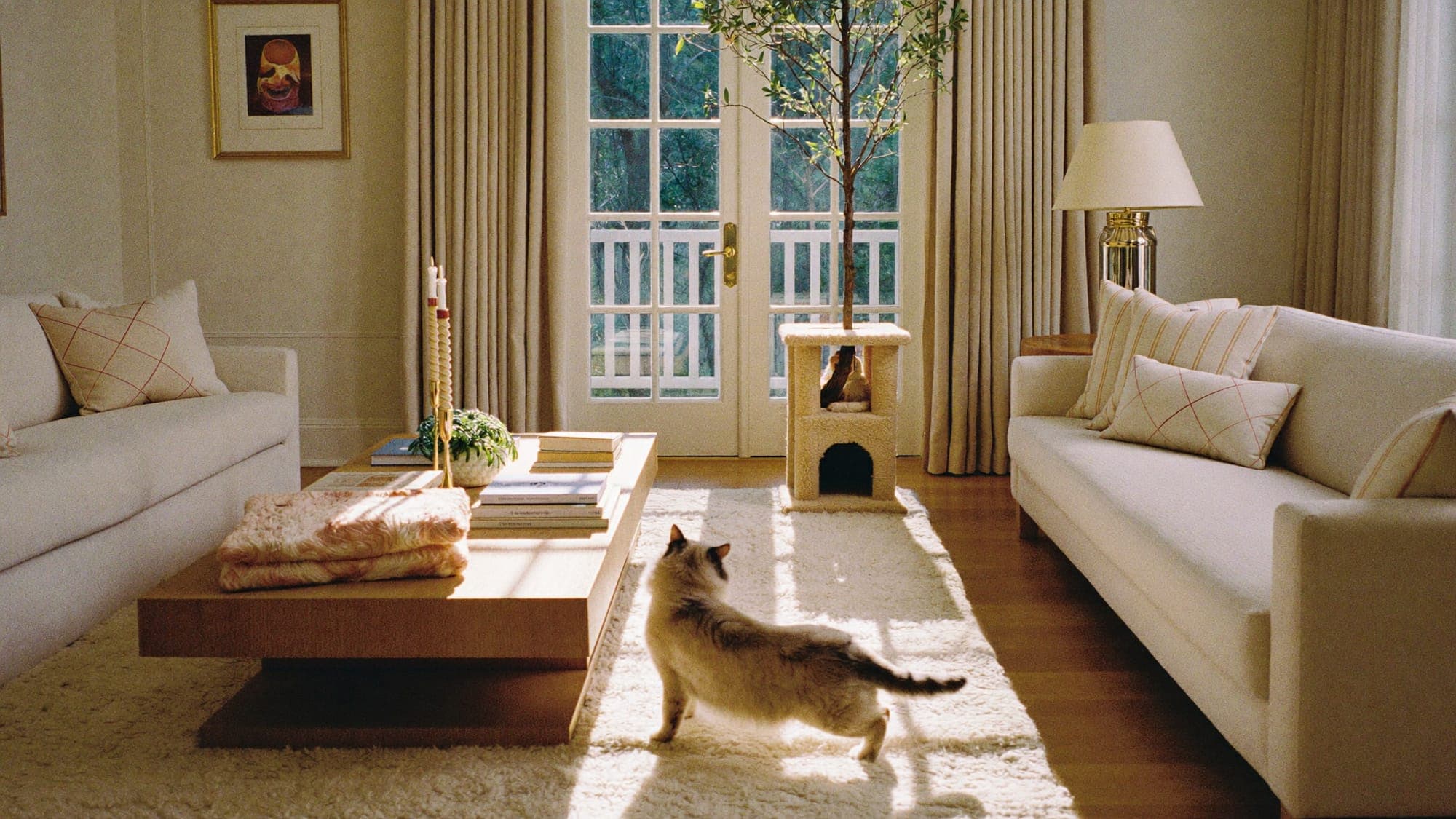 The warm, light-filled interior of the Muggles Mittens family home